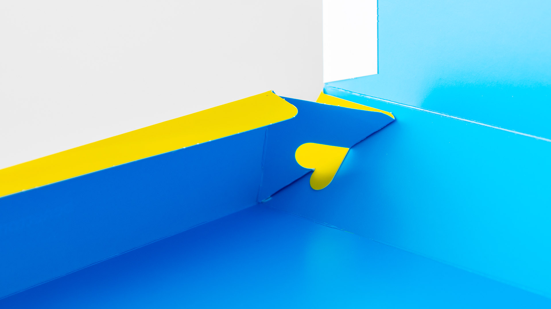 immagine fascia